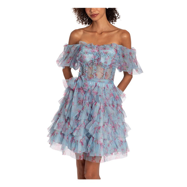 Women's Mesh Print Off the Shoulder Ruffle Fit and Flare Dress